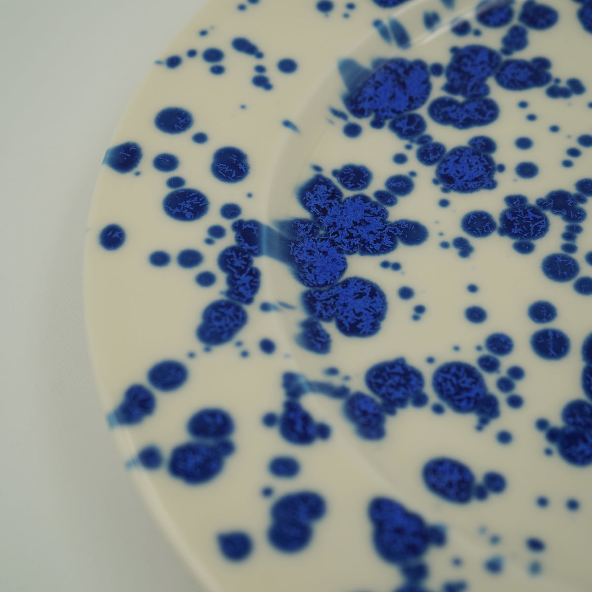 splash JP plate L 月白