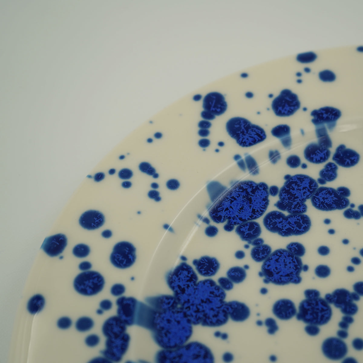 splash JP plate L 月白