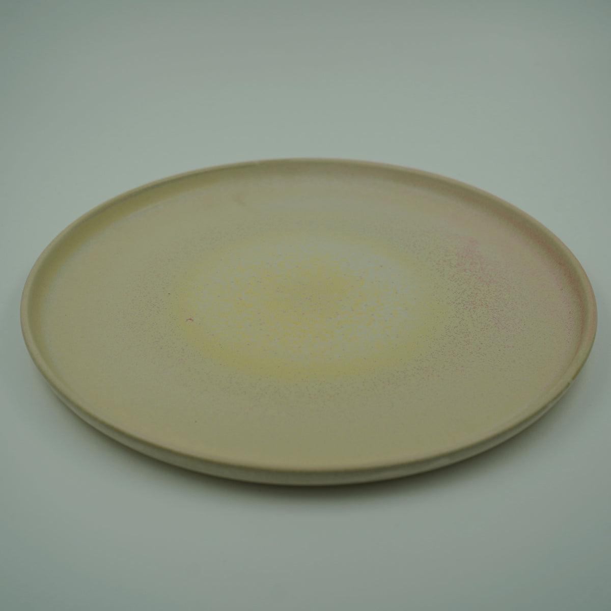 STILL ROUND PLATE(L)