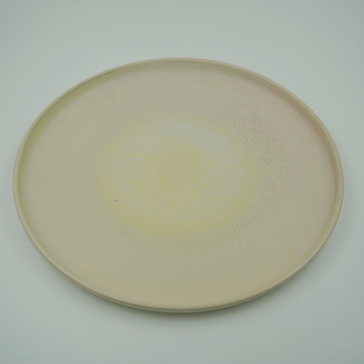 STILL ROUND PLATE(L)