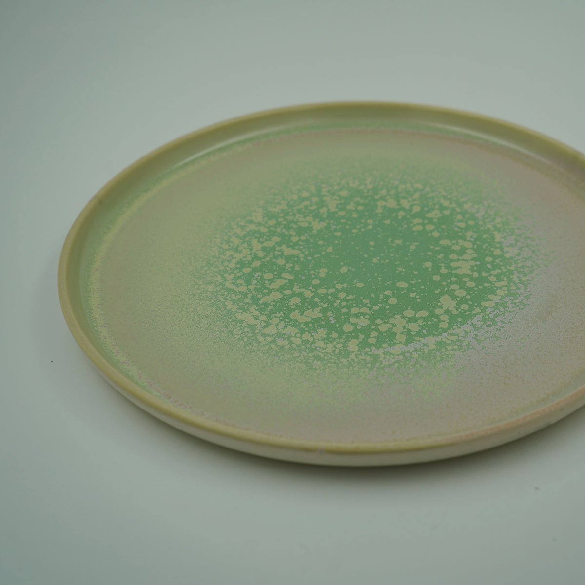 STILL ROUND PLATE(L)