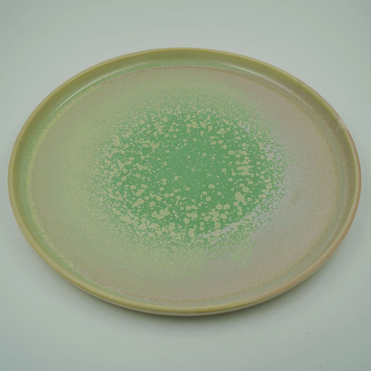 STILL ROUND PLATE(L)