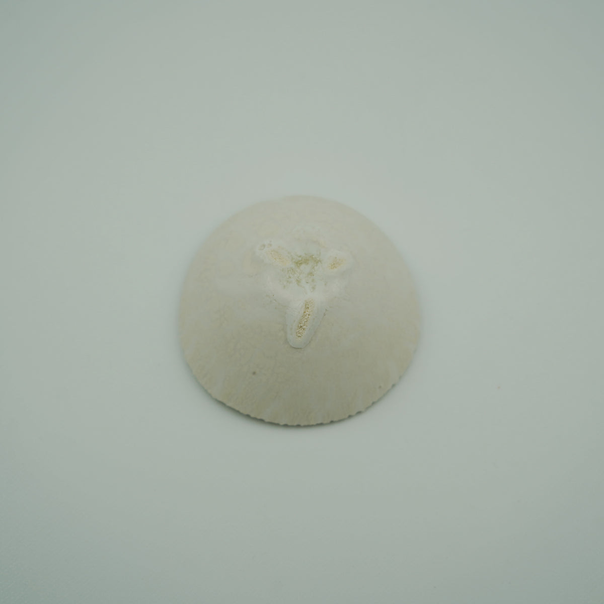 ぐいのみ(土もの)