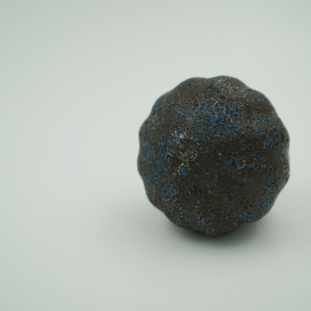 カップ(ニンニク) ②