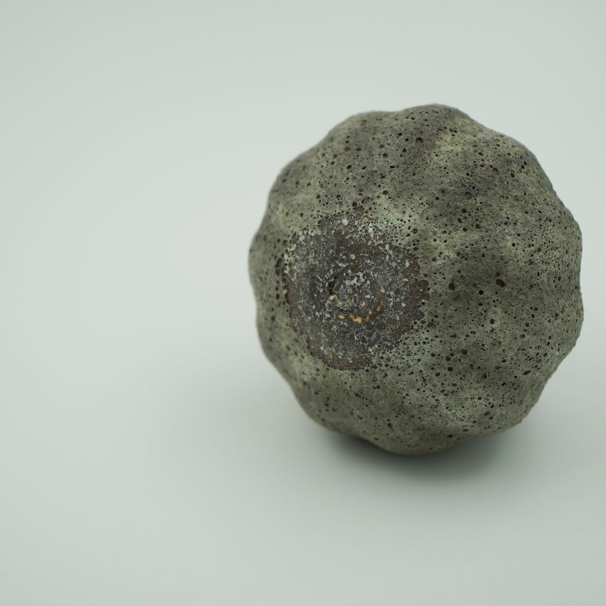 カップ(ニンニク)①