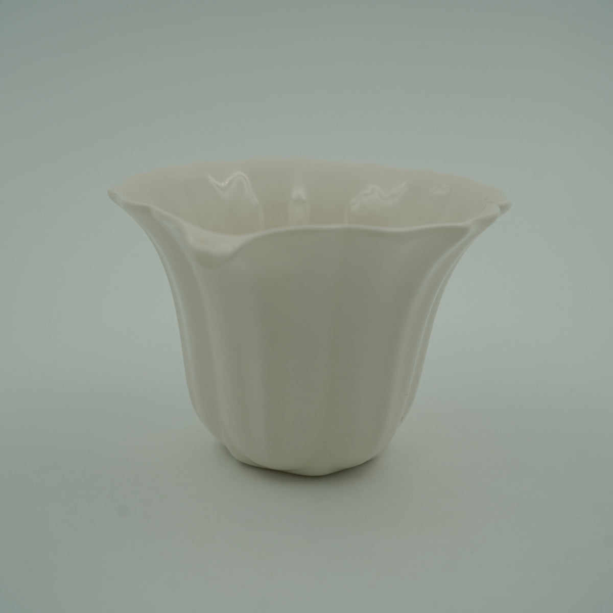 六菱花茶梅
