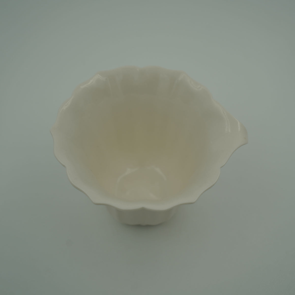 六菱花茶梅