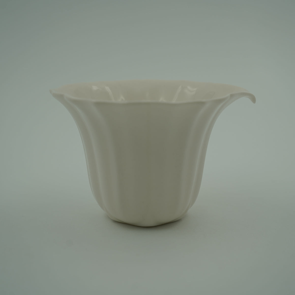 六菱花茶梅