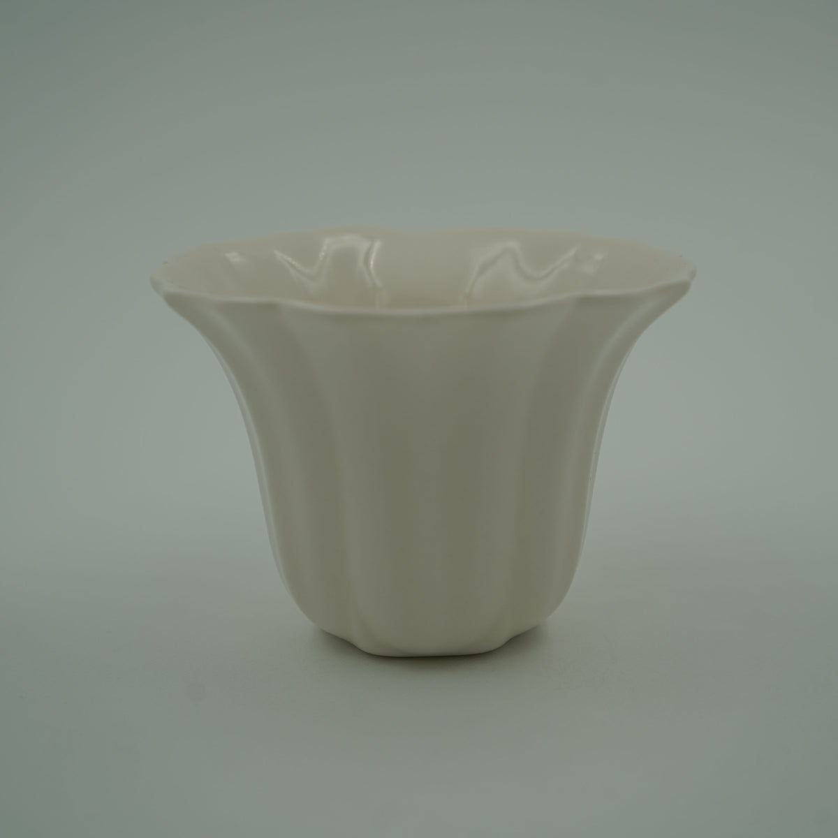 六菱花茶梅