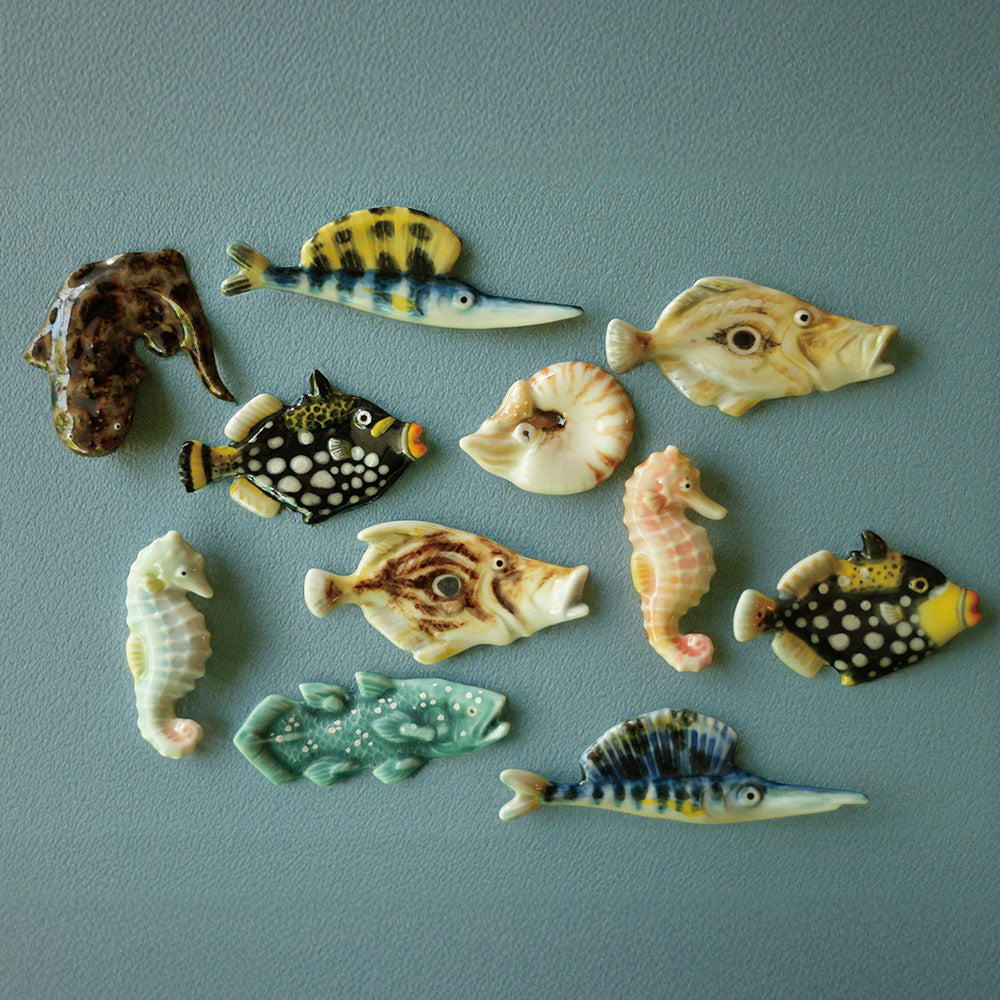 Coneludo<br>POP UP SHOP